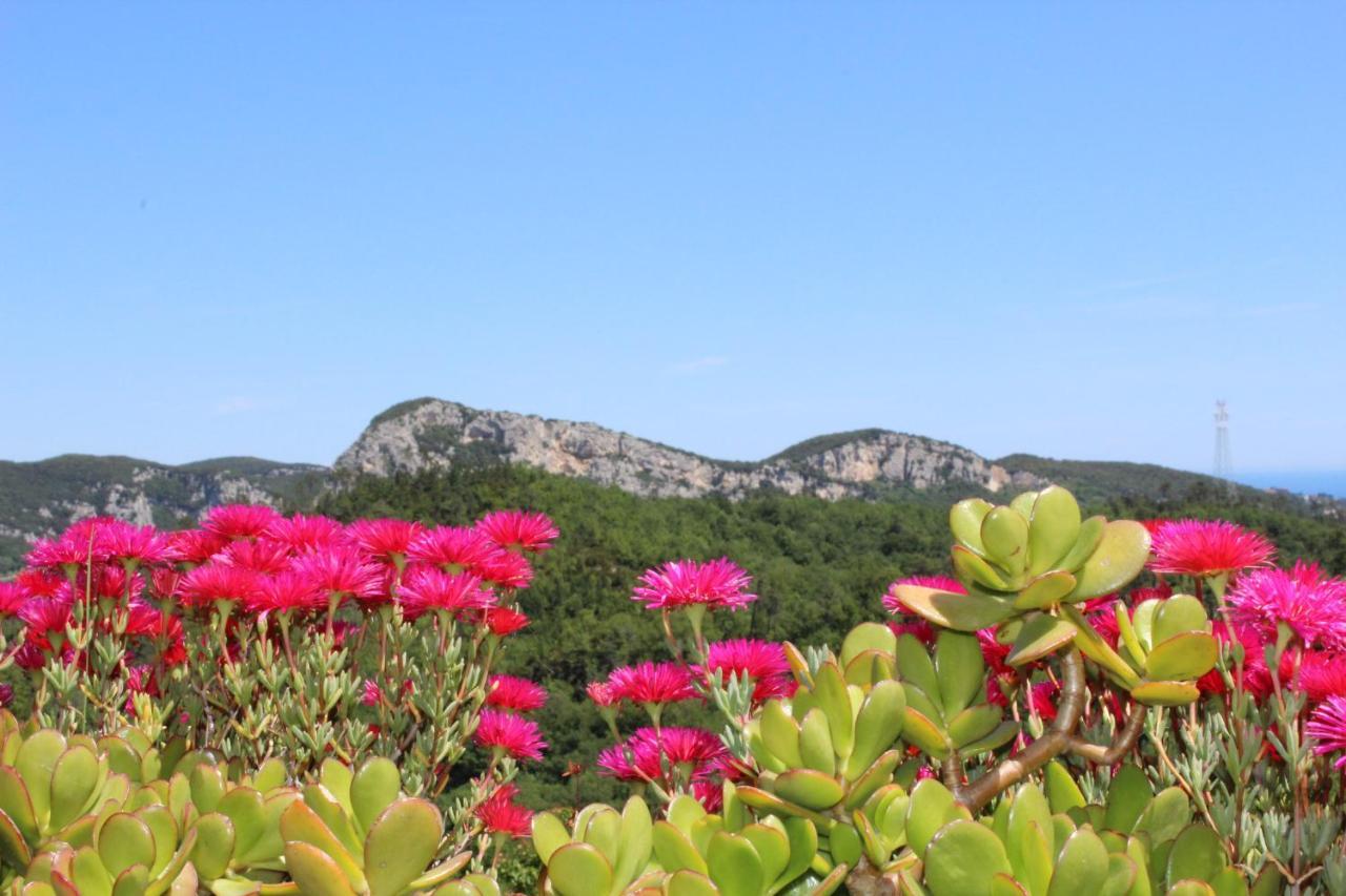 Segni E Impronta Bed & Breakfast Finale Ligure Exterior photo
