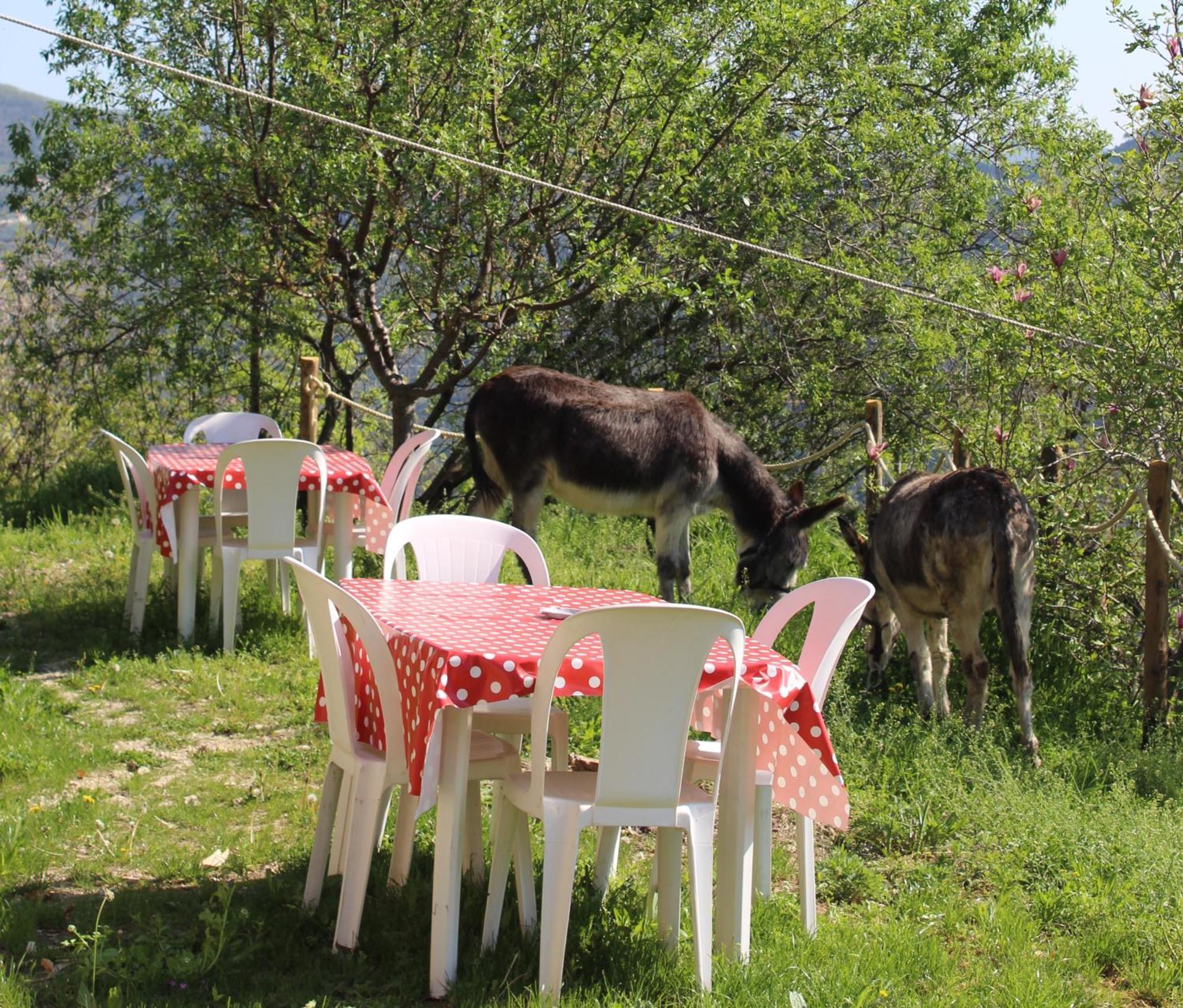 Segni E Impronta Bed & Breakfast Finale Ligure Exterior photo
