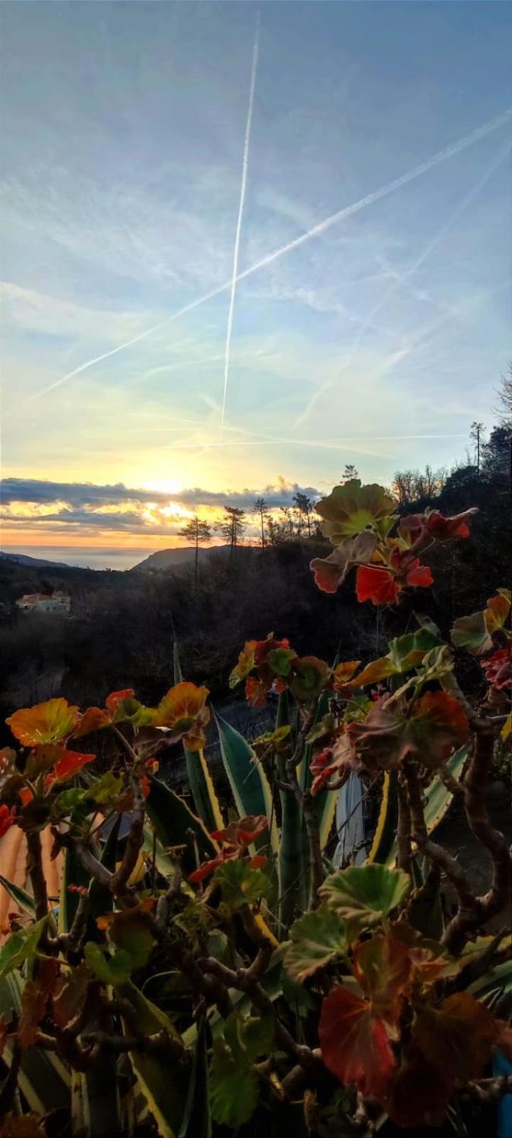 Segni E Impronta Bed & Breakfast Finale Ligure Exterior photo